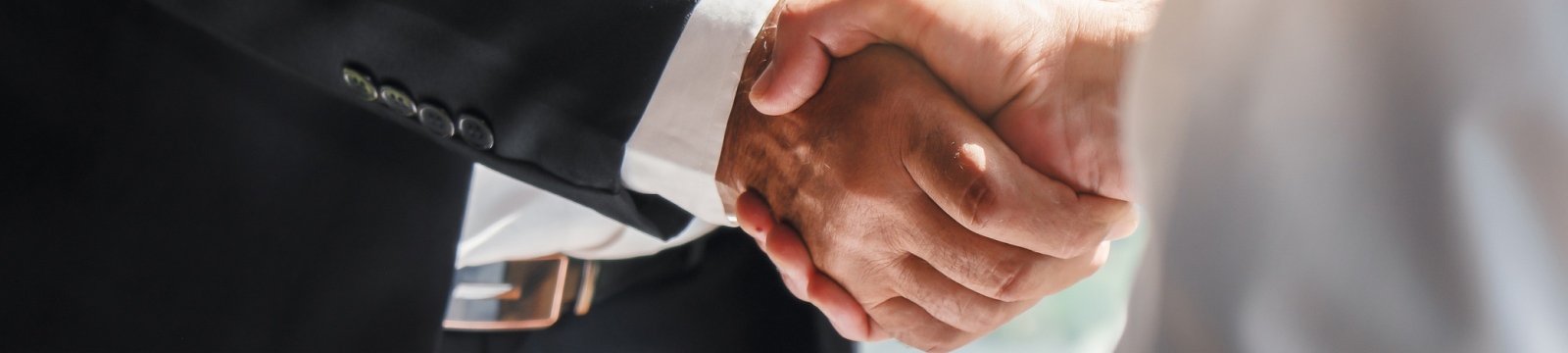 Two businesspeople shaking hands